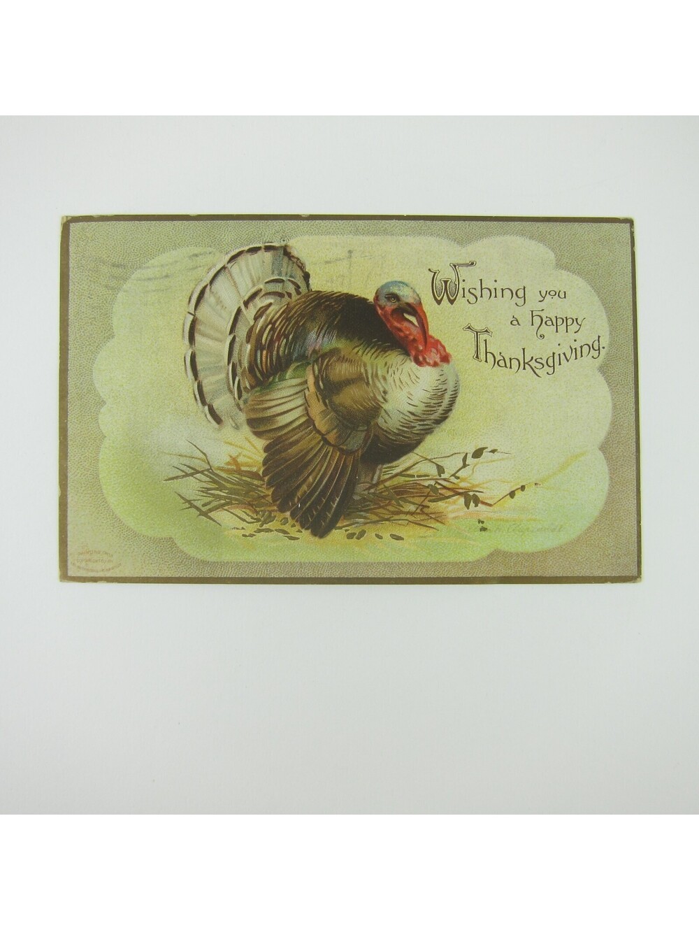 Thanksgiving Postcard Wild Turkey Clapsaddle Embossed Antique 1908
